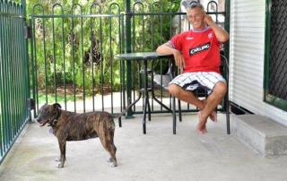 Coral Coast Tourist Park - 9