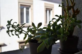 Blue Nest Apartment - Nago-Torbole - 7