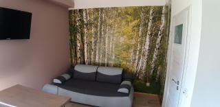 OSADA POD LASEM - Andrychów - 3