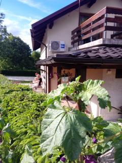 Guesthouse Marton - 9