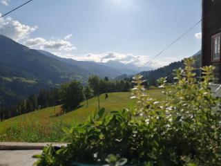 Gailerhof - Liesing - 3