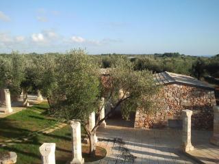 Tenuta Serre - Salve - 8