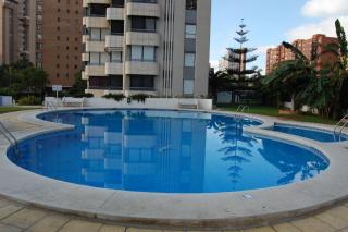 Benidorm Complejo San Francisco - Benidorm - 0