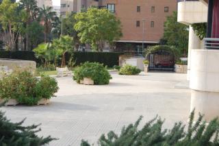 Benidorm Complejo San Francisco - 5