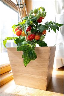 MARKT EINS Gästezimmer - 1