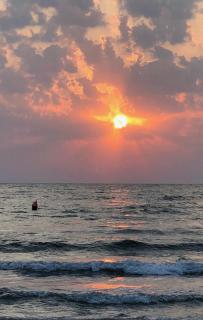 Theo Summerland Seaview - Mamaia - 0