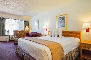 Americas Best Value Inn & Suites Melbourne - Melbourne - 4