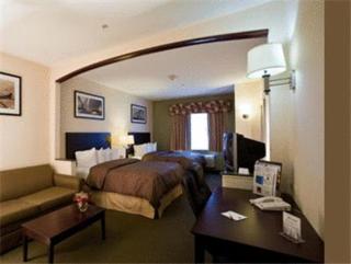 Comfort Suites - 3