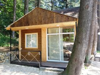 Park Hotel Kutaisi - Kutaisi - 9