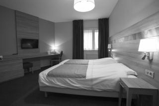 Hotel Restaurant Le Coquelicot - Burnhaupt-le-Haut - 9