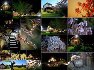Addo Dung Beetle Guest Farm - Addo - 3