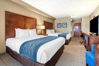 Comfort Inn & Suites Orlando North - Sanford - 9
