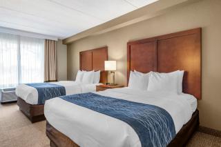 Comfort Inn & Suites Orlando North - Sanford - 4
