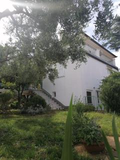 Arancia - Mali Lošinj - 6