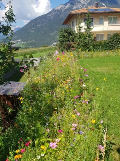 Wald Chalet - Arzl im Pitztal - 6