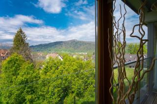 Prestige Apartamenty Smrekowa - Zakopane - 0