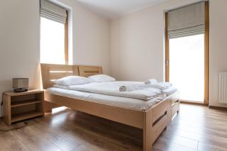 Prestige Apartamenty Smrekowa - Zakopane - 7