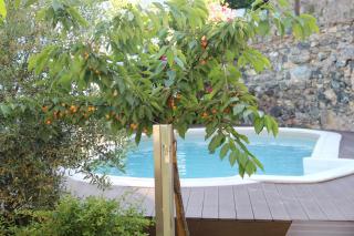 Casa do Rio Fervença - 9