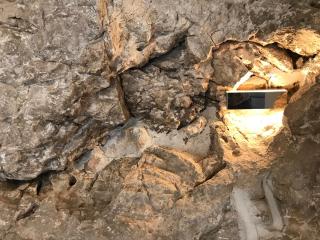 Best view! Rooftop with Garden - Old Town Nr404 - 1