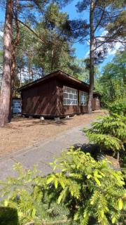 Camp Bursztynowy Las - Danzig - 1