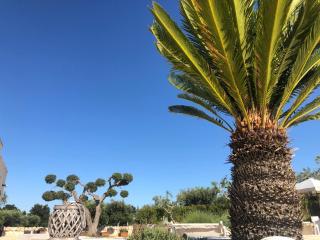 Villa Trullo Cristi - 4