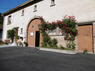 Chez Catherine et Roger - Brouvelieures - 8