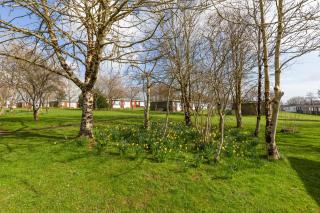 40 Norton Park - Dartmouth - 6