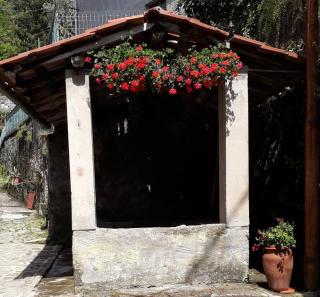 Casa Ginevra - Bagni di Lucca - 5