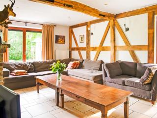 Lavish Holiday Home in Malmedy with Sauna - Longfaye - 9