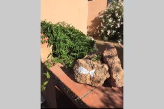 Appartamento IL CANNETO - Cannigione - 9
