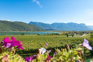 Weinhof am See - Caldaro - 6