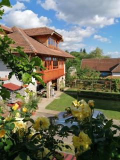 Country house Todor - 0
