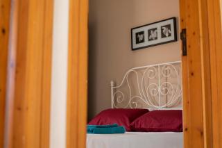 Oasi Petrus Cilento B&B - Marina di Camerota - 4