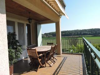 Loue haut de villa au calme piscine jardin arboré - 6