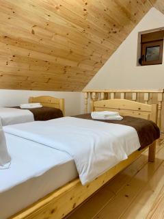 B&B Izvor - 8