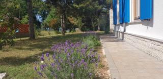 Eco-house by the sea - Villa Enjoy, Your Perfect Escape - Vodnjan - 7