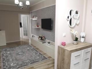YNS Apartaments - Iaşi - 3