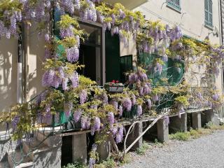 Il Giardino di Elettra - FreeParking - Genoa - 2
