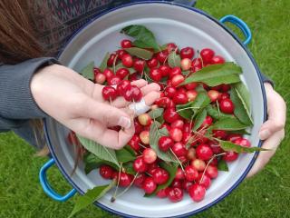 Apartments Markež - 8