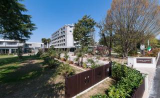 Hotel Harrys' Garden - Abano Terme - 3