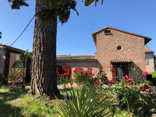 B&B du Couvent, chambre aux paons - Giroussens - 7