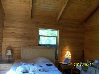 PRIVATE Log Cabin with Indoor pool sauna and gym YOU RENT IT ALL NO ONE ELSE - McAlpin - 1