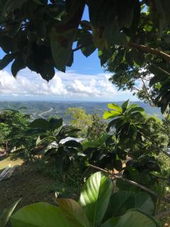 Camping para dos - a escoger, segun disponibilidad de cabaña - Caguas - 1