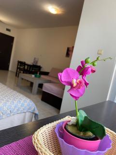 Cozy Apartment Saint Sofia - 3