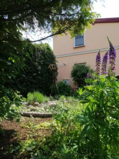 MV Apartamenty Komfort - Augustów - 5