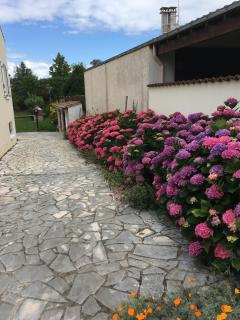 Studio Hortensias - Cozes - 9