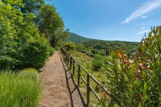Borgo Fastelli - House in historical Borgo in Tuscany - Sambuco - Sarteano - 1