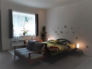 Apartmány Karlštejn - Karlštejn - 8