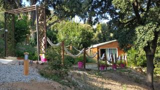 Le petit chalet - Porticcio - 8