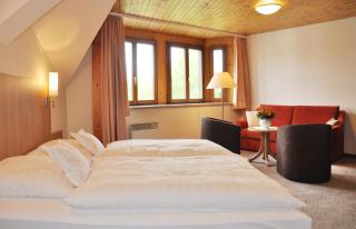 Hotel Fortuna - Stockach - 4